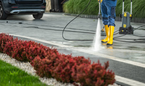 Trusted Lucedale, MS Pressure Washing Experts